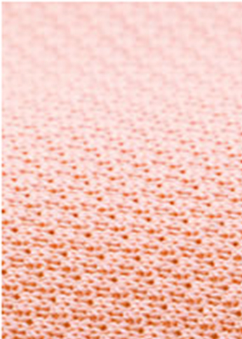 Fabric
